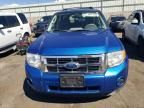 2011 Ford Escape XLS