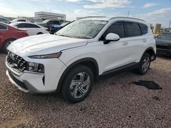 Salvage cars for sale from Copart Phoenix, AZ: 2023 Hyundai Santa FE SEL