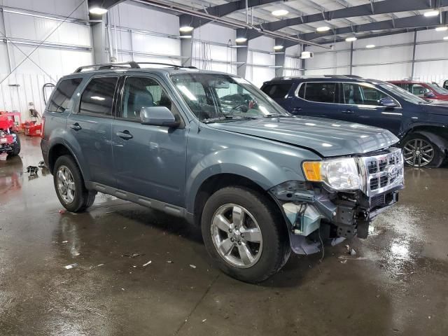 2010 Ford Escape Limited