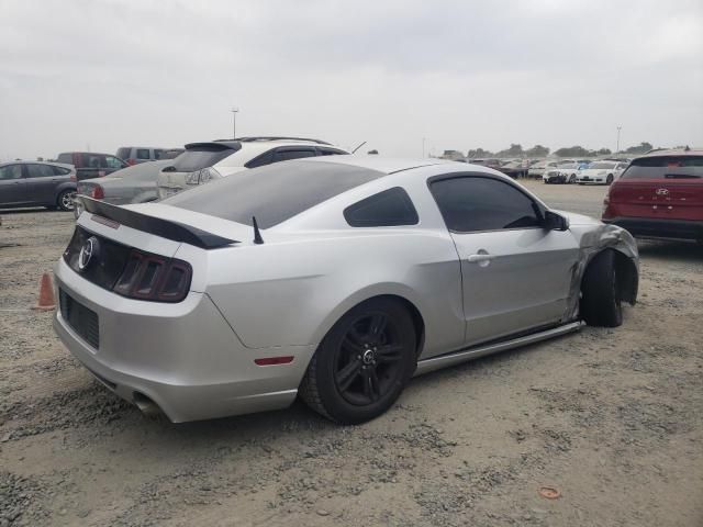 2013 Ford Mustang