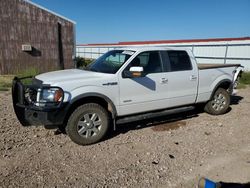 Salvage cars for sale at Rapid City, SD auction: 2014 Ford F150 Supercrew