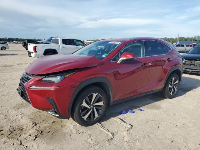 2019 Lexus NX 300 Base