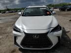 2024 Lexus NX 250 Premium