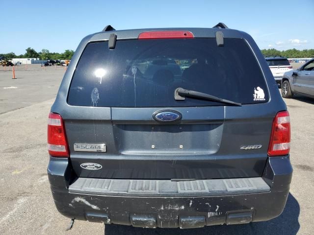 2008 Ford Escape XLT