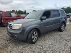 2013 Honda Pilot EXL