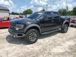 Salvage trucks for sale at Midway, FL auction: 2013 Ford F150 SVT Raptor