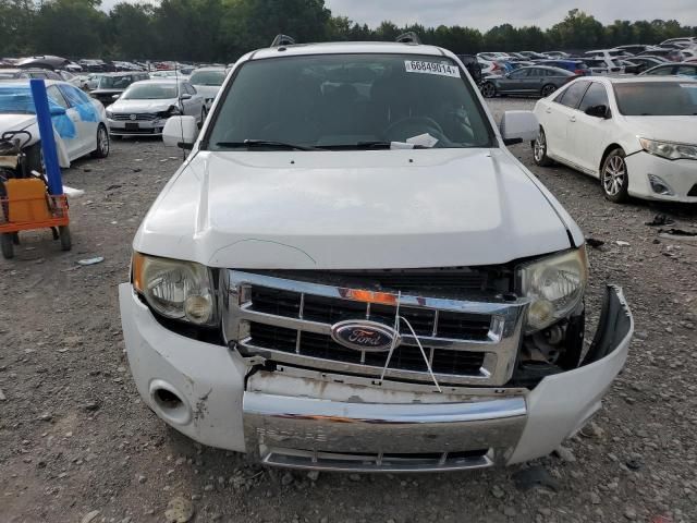 2008 Ford Escape Limited