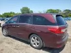 2019 Honda Odyssey EXL