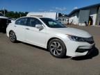 2017 Honda Accord EXL