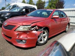 Toyota salvage cars for sale: 2010 Toyota Camry Base