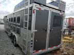 2015 Lako Horse Trailer