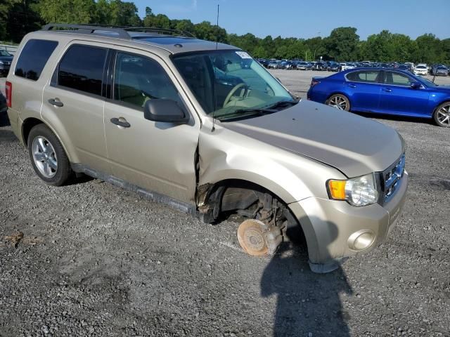 2012 Ford Escape XLT