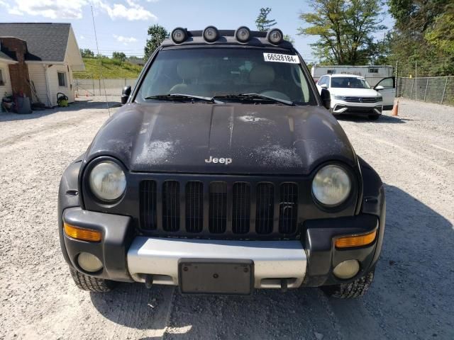 2003 Jeep Liberty Renegade