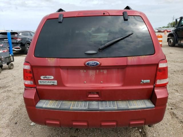 2012 Ford Escape XLT