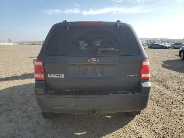 2008 Ford Escape XLT