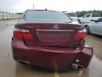 2007 Lexus LS 460