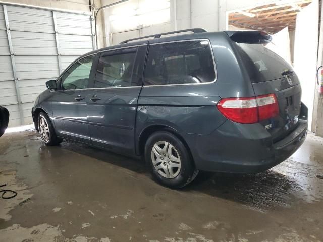 2005 Honda Odyssey EXL