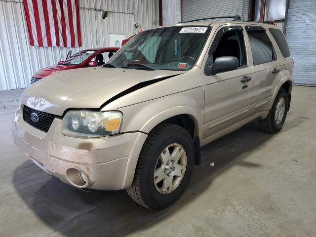 2007 Ford Escape XLT