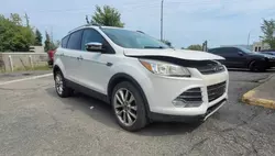 Ford Vehiculos salvage en venta: 2016 Ford Escape SE