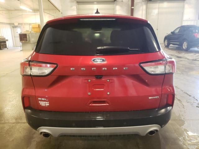 2022 Ford Escape SEL