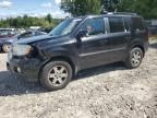 2010 Honda Pilot Touring