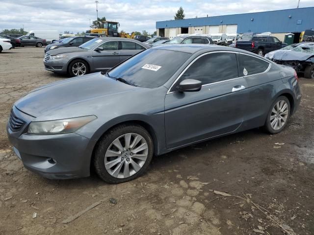 2009 Honda Accord EXL