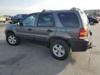 2005 Ford Escape XLT