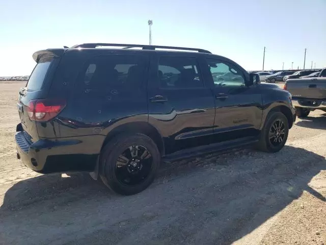 2019 Toyota Sequoia SR5