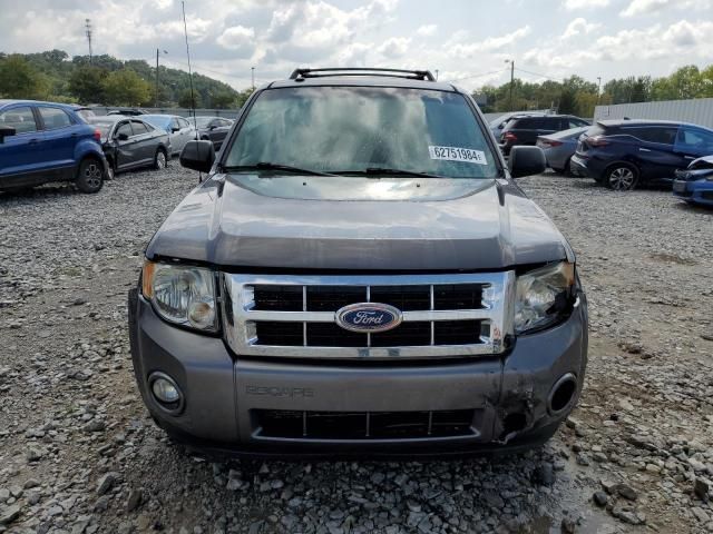 2011 Ford Escape XLT