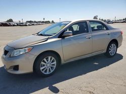 Toyota Vehiculos salvage en venta: 2010 Toyota Corolla Base