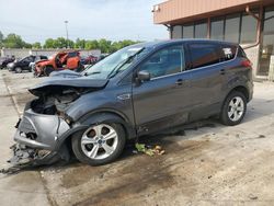 Salvage cars for sale at Fort Wayne, IN auction: 2015 Ford Escape SE