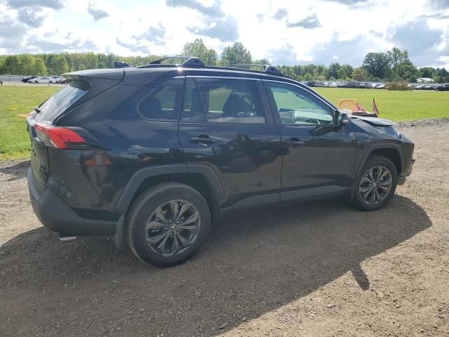 2024 Toyota Rav4 XLE Premium