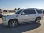 2009 Cadillac Escalade Luxury