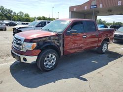 Ford salvage cars for sale: 2014 Ford F150 Supercrew