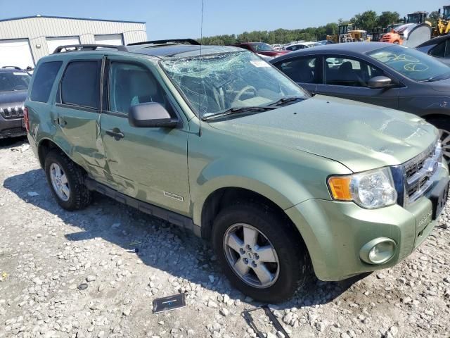 2008 Ford Escape XLT