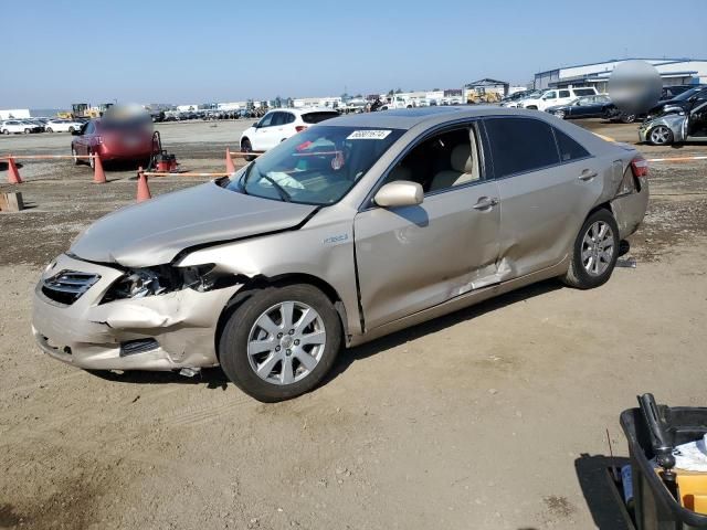 2009 Toyota Camry Hybrid