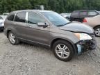 2010 Honda CR-V EXL