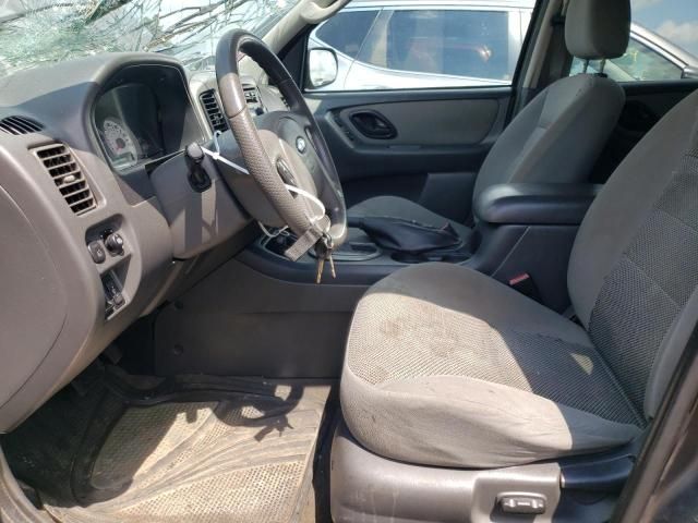 2005 Ford Escape XLT