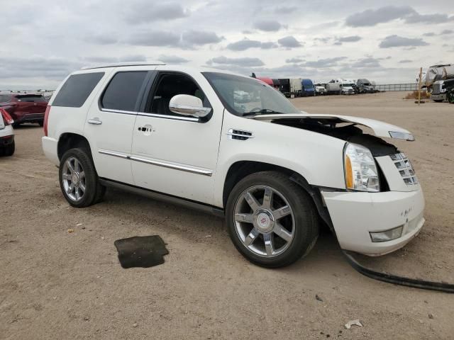 2014 Cadillac Escalade Luxury