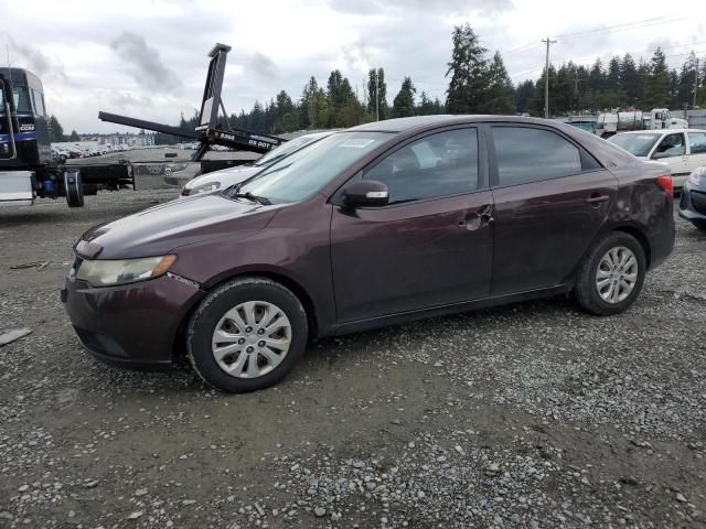 2010 KIA Forte EX