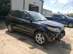 2010 Hyundai Santa FE SE