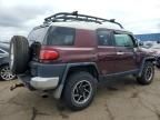 2007 Toyota FJ Cruiser