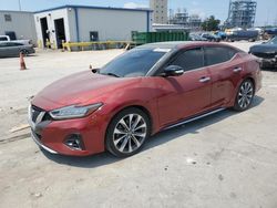 Salvage cars for sale at New Orleans, LA auction: 2022 Nissan Maxima Platinum