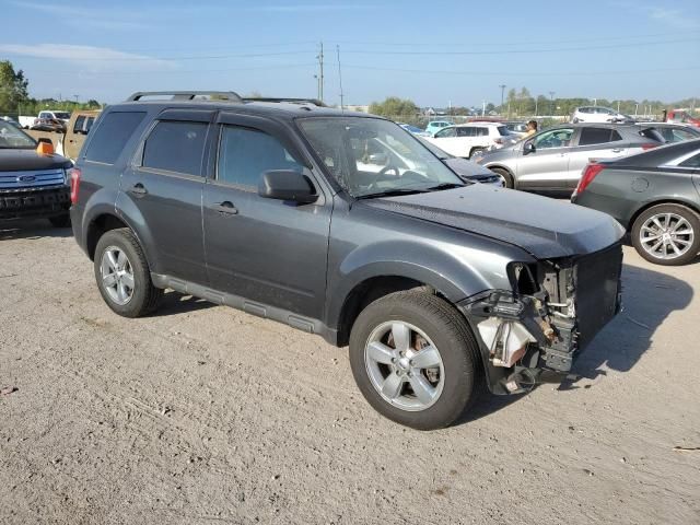 2009 Ford Escape XLT