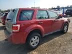 2010 Ford Escape XLS