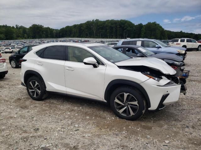 2019 Lexus NX 300 Base