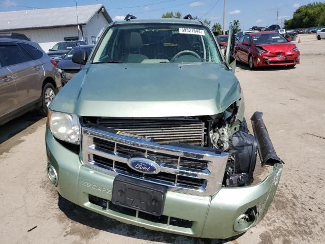 2008 Ford Escape XLT