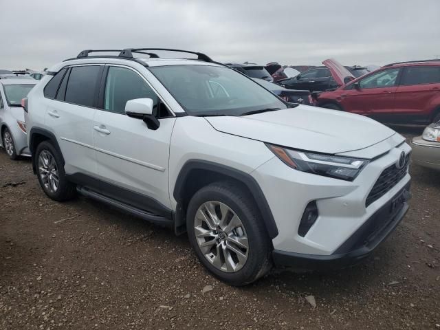 2024 Toyota Rav4 XLE Premium