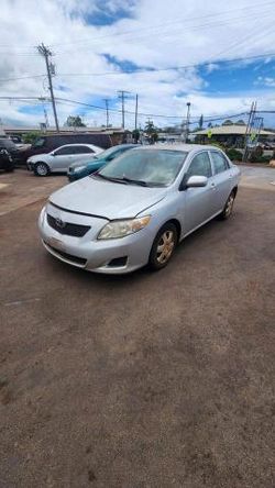 Toyota salvage cars for sale: 2010 Toyota Corolla Base