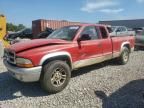 2002 Dodge Dakota SLT